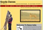 www.danesindia.com